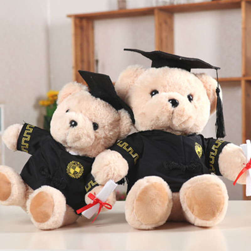 Dr. Bear Plush Toy Accompanying Graduates through Unforgettable Moments