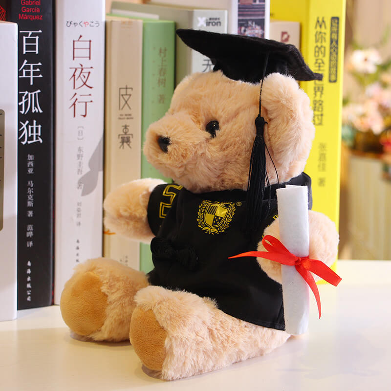 Dr. Bear Plush Toy Accompanying Graduates through Unforgettable Moments